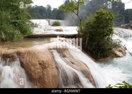 Agua Azul les chutes et rapides de la jungle du Chiapas, Mexique Banque D'Images