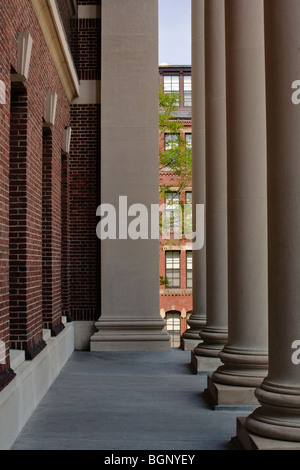 Piliers romains grace l'avant de l'HARRY ELKINS WIDENER MEMORIAL LIBRARY datant de 1915 de l'Université Harvard, CAMBRIDGE - MAS Banque D'Images