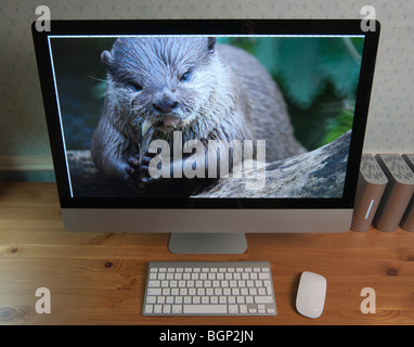 IMac Apple 27' avec des logos retouché out - image à l'écran petit oriental griffé otter Banque D'Images