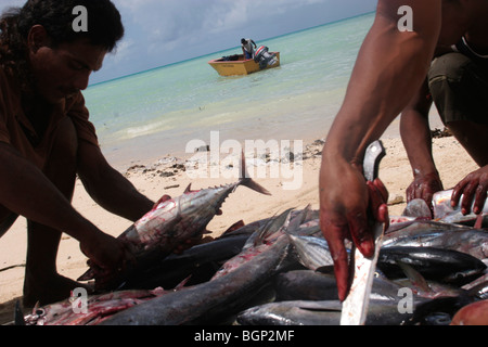 Les pêcheurs sur la plage de l'île de Kiribati dans l'Océan Pacifique Banque D'Images