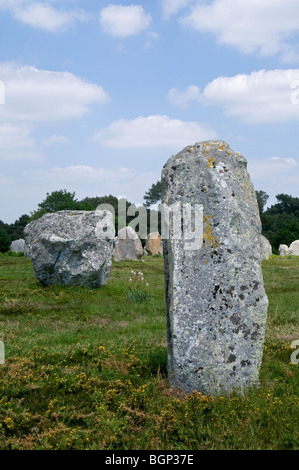 Comité permanent des pierres dans l'alignement de Kermario à Carnac, Morbihan, Bretagne, France Banque D'Images