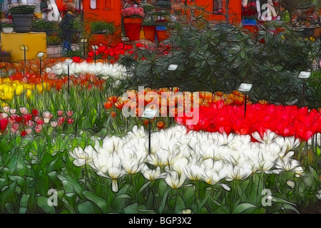 Photo illustration : Affiche de tulipes en vente dans un centre de jardinage au printemps Banque D'Images