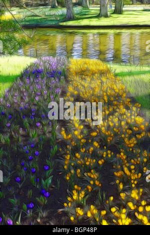 Photo illustration : Affiche de crocus au printemps Banque D'Images