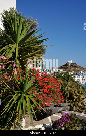 Jardin coloré à Chora (ville principale) avec vue sur la chapelle d''Agii Anargiri, l'île d'Ios, Grèce Banque D'Images