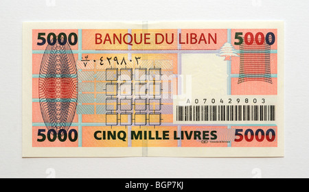 Liban 5 000 Cinq mille livres billet de banque. Banque D'Images