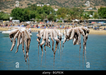 Pieuvres accrochées à Mylopotas Beach, île d'iOS, Grèce Banque D'Images