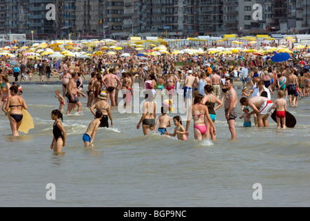 Les nageurs / touristes pagayer le long de la plage de la mer du Nord à la côte belge, Bruges, Flandre occidentale, Belgique Banque D'Images