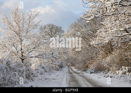 La Norfolk Country Lane dans la neige Banque D'Images