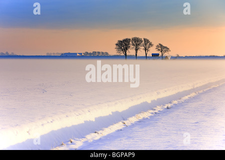 L'hiver en Hollande dans les Kroonpolder près de Drieborg, province de Groningue, Pays-Bas Banque D'Images