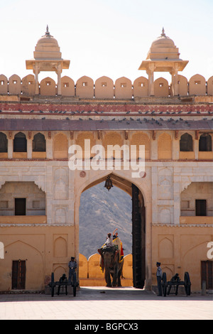 Les éléphants transportant des touristes dans le Fort Amber, à Jaipur, Inde. Banque D'Images