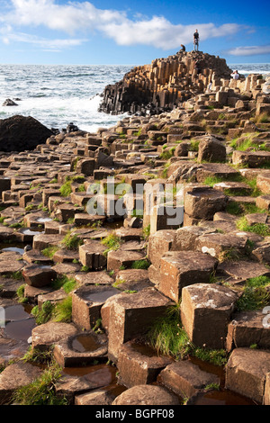 L'Île à la Giant's Causeway Antrim Irlande du Nord un phénomène naturel et un site du patrimoine mondial. Banque D'Images