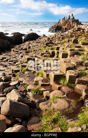 L'Île à la Giant's Causeway Antrim Irlande du Nord un phénomène naturel et un site du patrimoine mondial. Banque D'Images