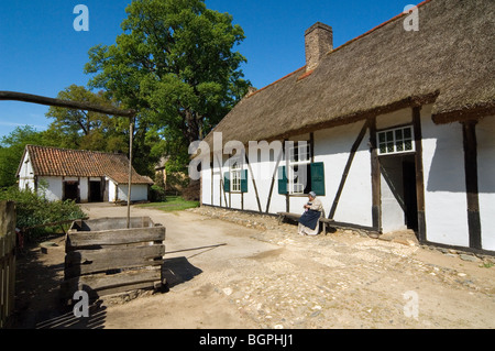 Ancienne ferme avec toit de chaume et bien dans le musée en plein air Bokrijk, Belgique Banque D'Images