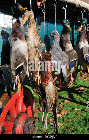 Panier avec jeu de chasse - mallard, pigeon ramier, le faisan - pendant la commémoration de Saint Hubert / Saint Hubertus, Belgique Banque D'Images