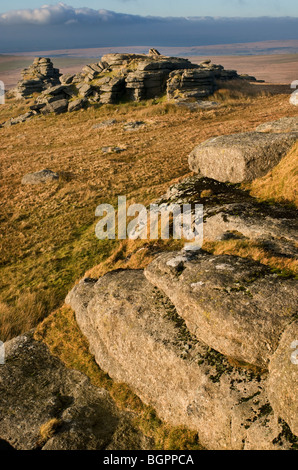 Les roches de granit à Grand Métis Tor dans la lumière de l'après-midi, Dartmoor, Devon UK Banque D'Images