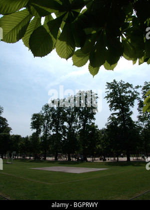 Des Marronniers (Aesculus hippocastanum). Jardin des Tuileries. Paris. France Banque D'Images