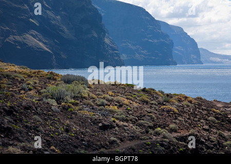 Falaises Gigantes de Punta de Teno, Tenerife. La plus occidentale de l'île. Falaises de mer sont presque 600m. Banque D'Images