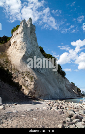 Moens klint. Le Danemark. Banque D'Images