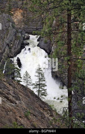 Chutes de la rivière Moyie, sur la rivière Moyie, près de Bonners Ferry (Idaho). Banque D'Images