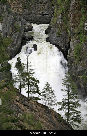 Chutes de la rivière Moyie, sur la rivière Moyie, près de Bonners Ferry (Idaho). Banque D'Images