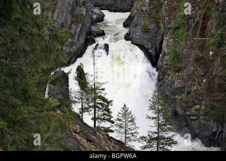 Chutes de la rivière Moyie, sur la rivière Moyie, près de Bonners Ferry (Idaho). Banque D'Images