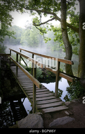 Au lac de Pont de l'emplacement de l'arbre d'or trehorenteuc Bretagne France Banque D'Images