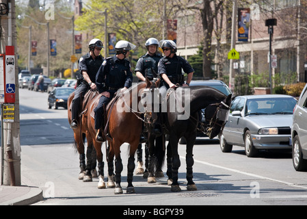 Groupe d'horse-Canada, Toronto, Canada Banque D'Images