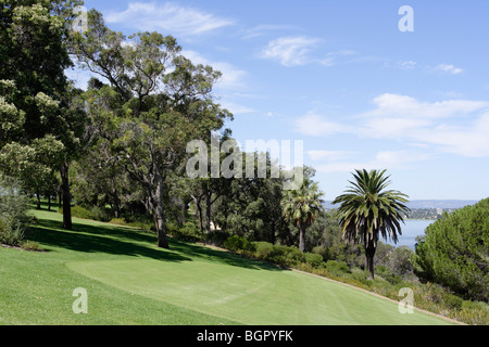 Parc bien entretenu au Jardin botanique de l'ouest de l'Australie, Kings Park, à Perth, en Australie occidentale. Banque D'Images