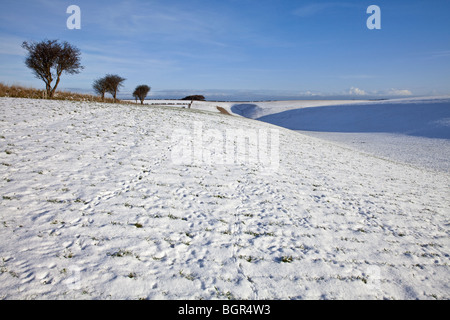 Raven neigeux sur la dale english channel dans Yorkshire du nord route des wolds way way centenaire et sentiers Banque D'Images