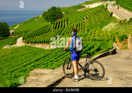 Tour à vélo dans les vignobles en terrasses près de Saint-Saphorin, site du patrimoine mondial de l'Lavaux au lac Léman, Vaud, Suisse Banque D'Images