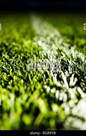 L'herbe sur un terrain de football, close-up. Banque D'Images