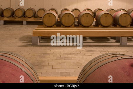 WINERY MAIRE, CAMPO MAIOR, PORTUGAL, Alvaro Siza Banque D'Images