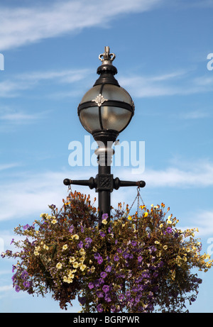 Les pétunias de paniers de fleurs suspendus lampadaire décoratif à Weymouth Banque D'Images