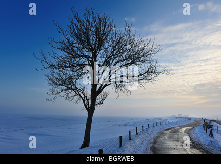 Beau paysage d'hiver aux Pays-Bas à Enkhuizen Banque D'Images