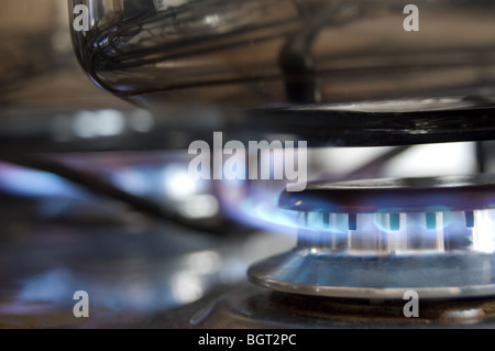 Flammes bleues d'un cuisinière à gaz Banque D'Images