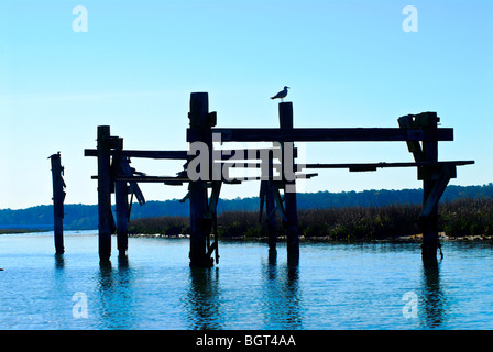 Seagull sur une silhouette sur le ciel en Chincoteaque Virginia Banque D'Images