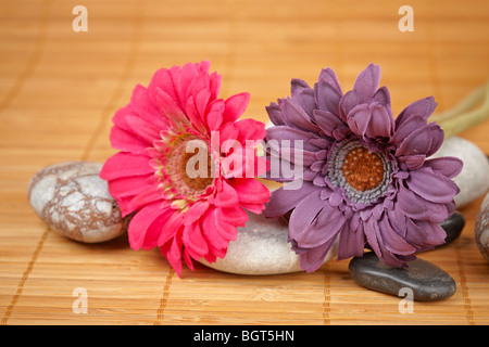 Accessoires de salle de bain produits sur fond de bois. Profondeur de champ Banque D'Images