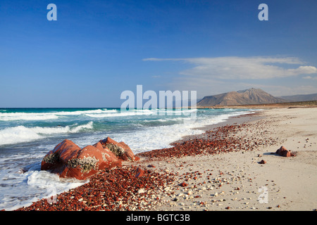 Dihamri Réserve Naturelle Maritime, l'île de Socotra Banque D'Images