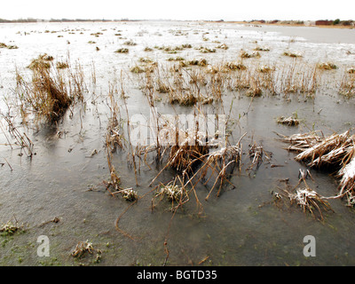 Marshside RSPB réserve, dans des conditions de gel, Southport, Lancashire, UK, hiver 2009 Banque D'Images