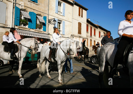 Les chevaux camargue à Arles pendant la Feria du riz, riz festival, Provence, France. Banque D'Images