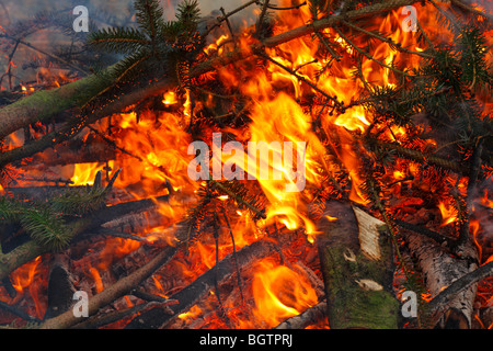 Jardin avec un feu de branches d'épinette de gravure, Powys, Pays de Galles. Banque D'Images