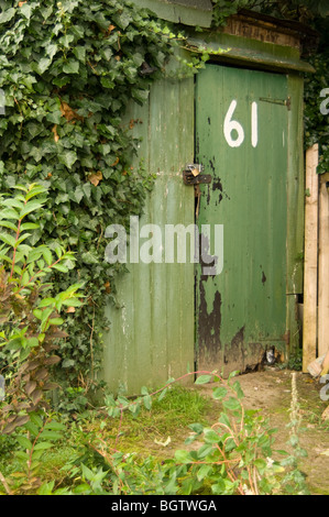 Ancienne en bois peint vert, shed numéro 61 sur un allotissement parcelle. La moitié couverte de lierre grimpant Banque D'Images