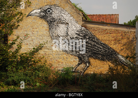 Corbeau sur graffiti maison abandonnée en Belgique Doel Banque D'Images