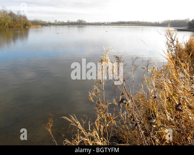 Priorslee Lake, Shropshire, Angleterre, hiver 2009 Banque D'Images