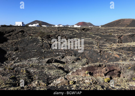 Champ de lave en Masdache, La Geria, Lanzarote, Canary Islands, Spain, Europe Banque D'Images