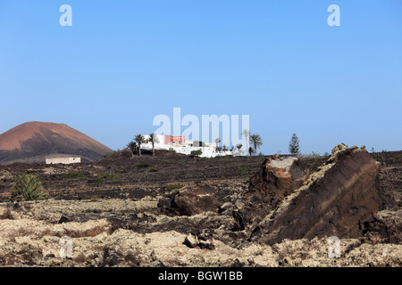 Propriété dans un champ de lave, La Geria, Lanzarote, Canary Islands, Spain, Europe Banque D'Images