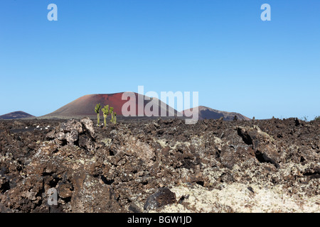 Champ de lave dans la région de La Geria, volcan Caldera Colorada, Lanzarote, Canary Islands, Spain, Europe Banque D'Images