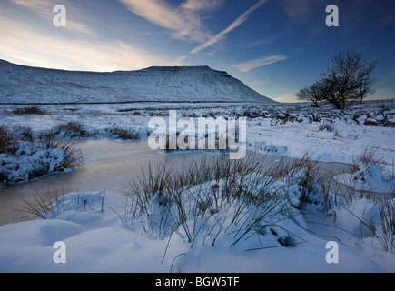 Vue vers Ingleborough Hill l'un des 'Trois pics' dans Southerscales ont diminué après les fortes chutes de neige Hiver 2009 09 Yorkshire Dales Banque D'Images