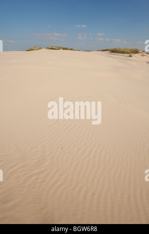 Des vagues de sable - formé par le vent et l'eau Banque D'Images