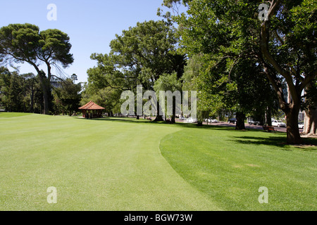 Très bien entretenu jardin terrasse à Kings Park à Perth, Australie occidentale. Banque D'Images